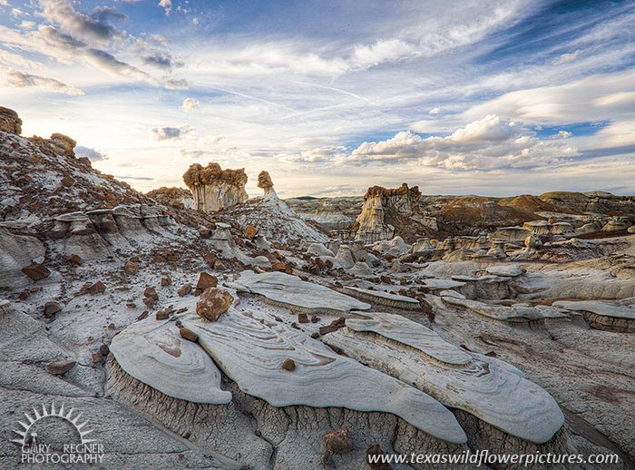 Bisti Badlands