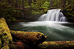 Whitehorse Falls - Oregon Waterfall by Gary Regner