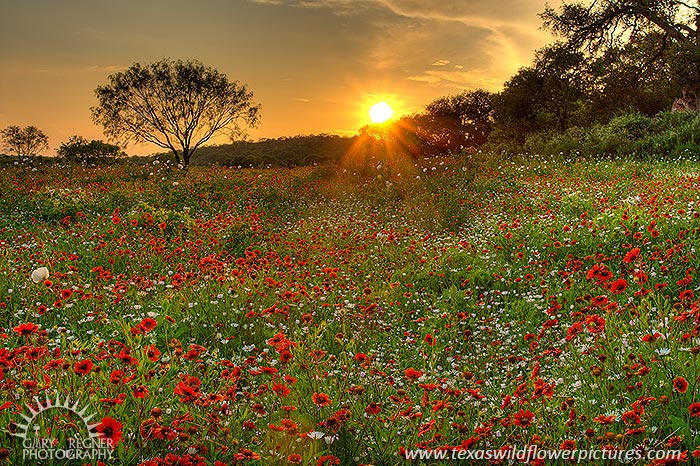 Sundown