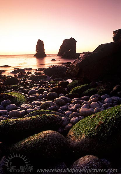 Monterey Coast
