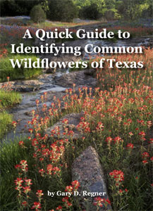 Gary Regner - Guide to Identifying Texas Wildflowers