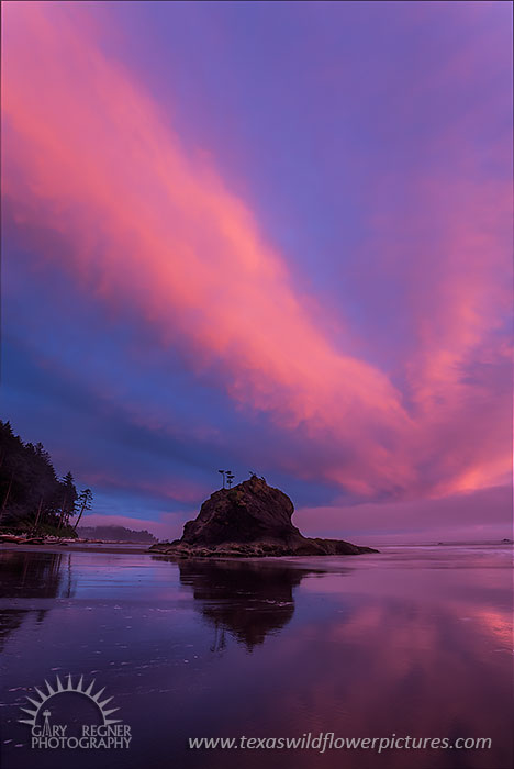 Sea Stack Neon, Second Beach Sunset