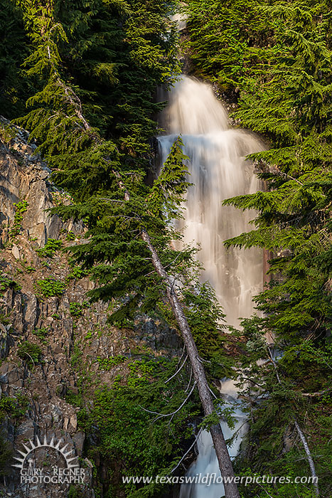 Snow Melt, Waterfall, Mount Rainier