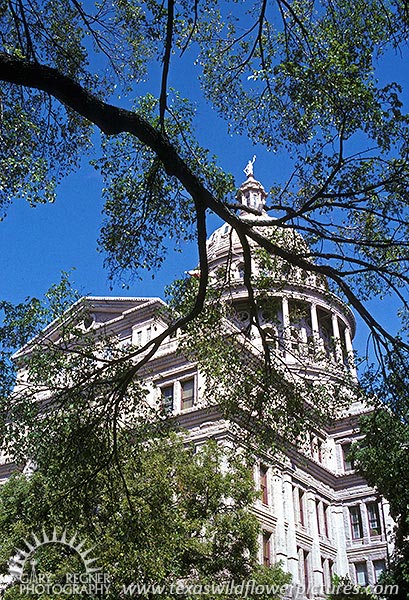 Capitol of Texas