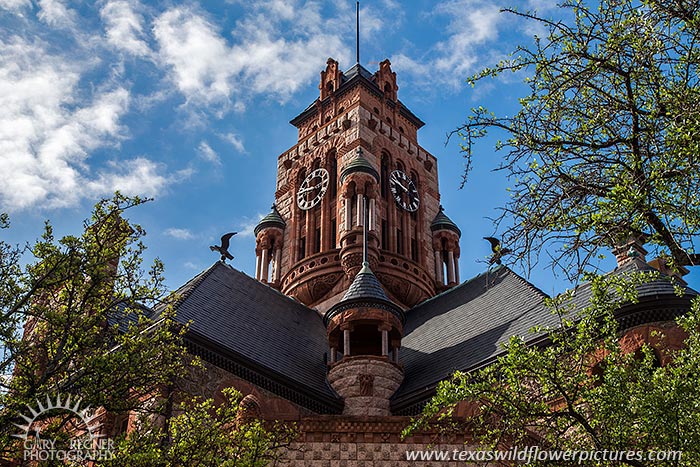 County Seat, Courthouse, Ellis County, Texas