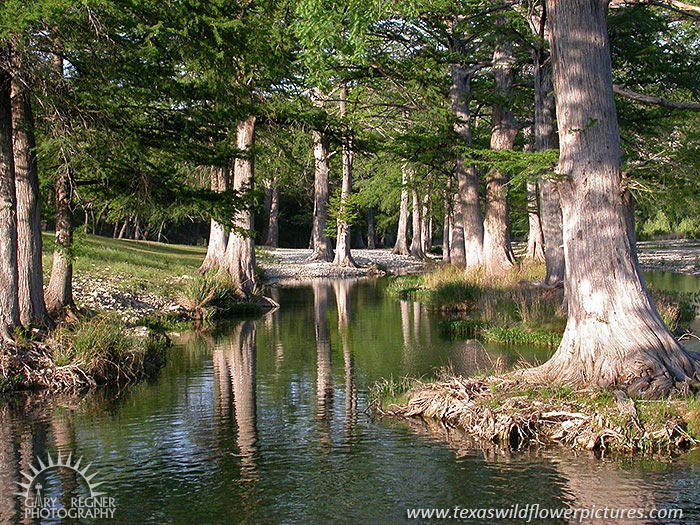 Guadalupe River - Texas Hill Country Landscape