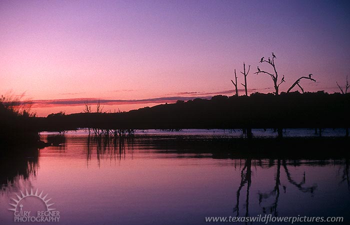 Inks Lake