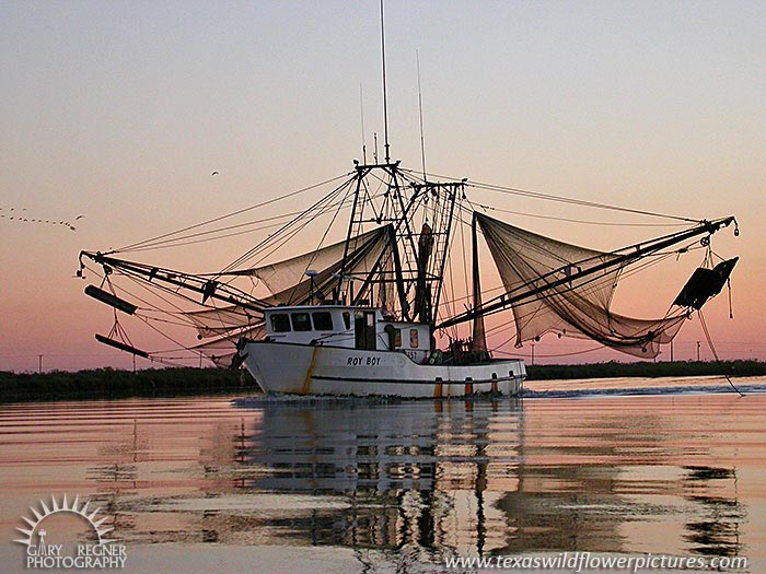 Shrimp Boat