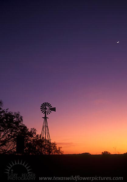 Windmill & Tank