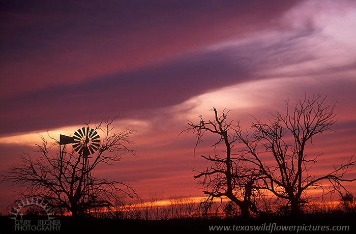 Windmill