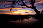 Hill Country Autumn - Texas Landscape Sunset by Gary Regner