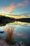 Spring Morning - Texas Wildflowers, Hill Country Sunrise by Gary Regner