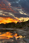 Spring Morning - Texas Wildflowers, Hill Country Sunrise by Gary Regner