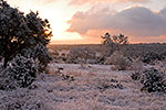 Hill Country Autumn - Texas Landscape Sunset by Gary Regner