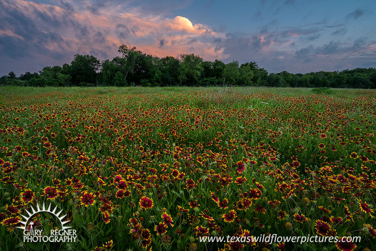 Vortex - Texas Wildflowers, Thunderstorm Clouds Landscape by Gary Regner