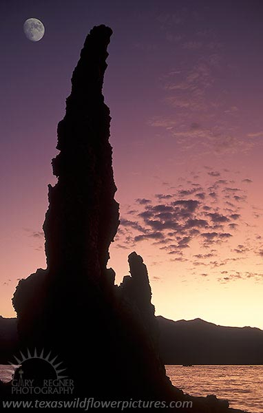 Mono Lake