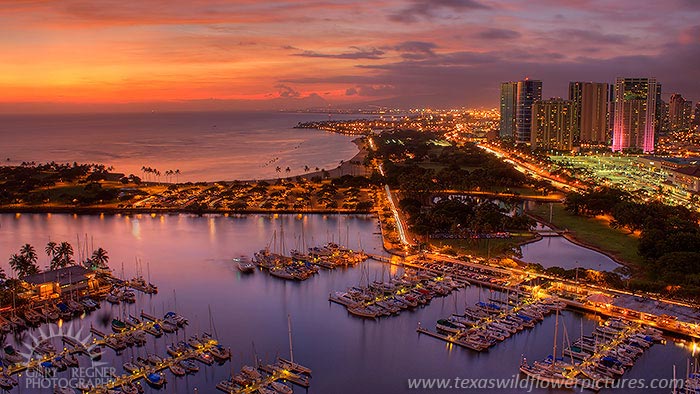 Waikiki Marina