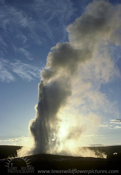 Old Faithful