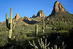 US Landscapes Gallery